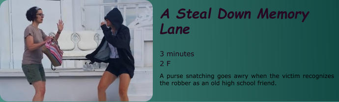 A Steal Down Memory Lane  3 minutes 2 F A purse snatching goes awry when the victim recognizes the robber as an old high school friend.